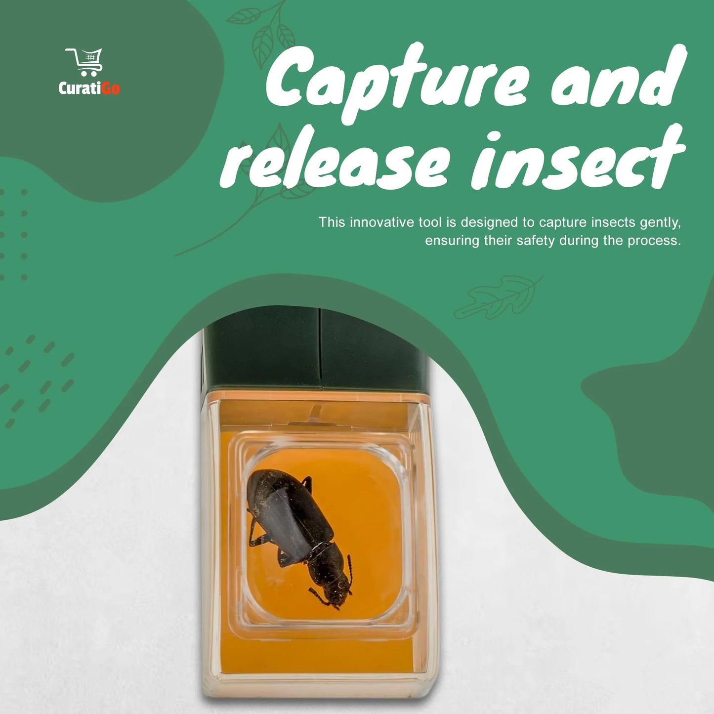 Handheld Insect Capture